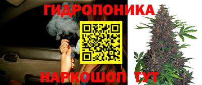 MDMA Premium VHQ Аша
